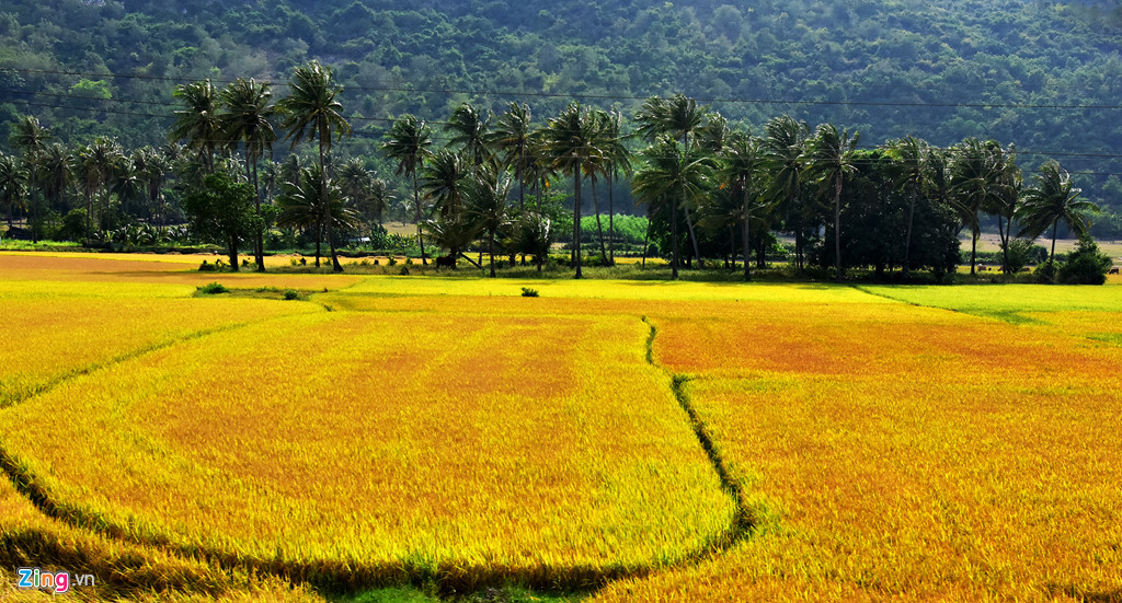 Câu chuyện thương hiệu